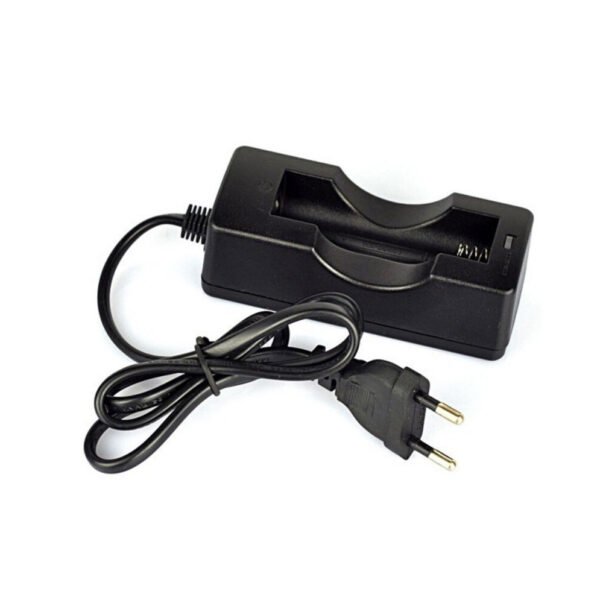 18650 Dual Battery Charger