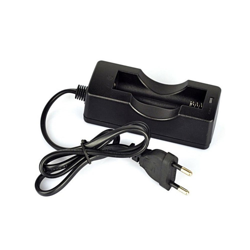 18650 Dual Battery Charger